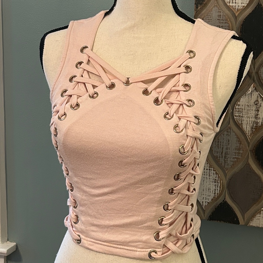 Hot & Delicious Blush Pink Crop Top